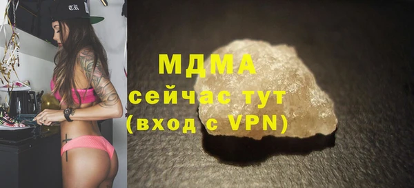 гашик Алексин