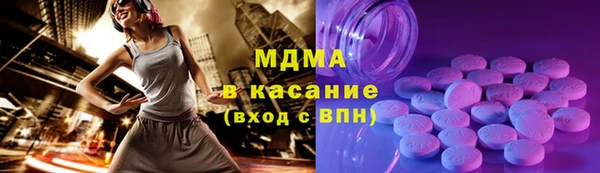 гашик Алексин