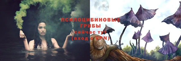 гашик Алексин