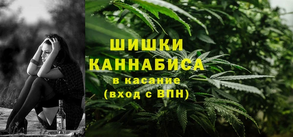 гашик Алексин