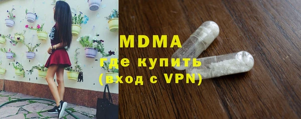 гашик Алексин