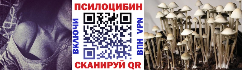 Галлюциногенные грибы GOLDEN TEACHER  где купить наркотик  Мирный 