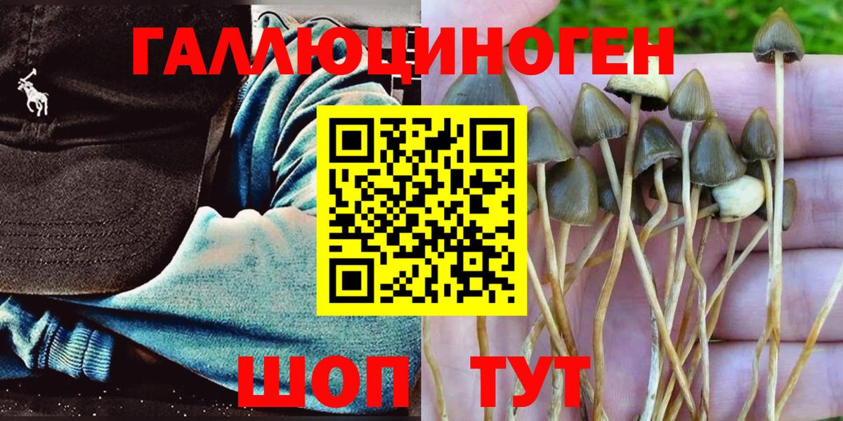 дарнет шоп  Галлюциногенные грибы Cubensis  Вход с VPN  Галлюциногенные грибы мухоморы  Мирный 