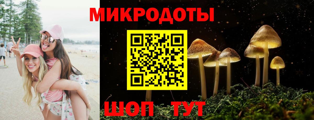 Псилоцибиновые грибы прущие грибы Мирный